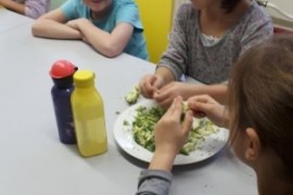 Gesundheitstag 1b 