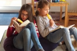 Homeschooling in der 2.b
