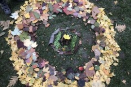 Waldprojekt der 1.c
