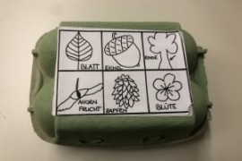 Waldprojekt der 1.c