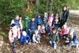 Waldprojekt der 1.b