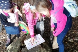 Waldprojekt der 1.b