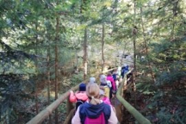 Waldprojekt der 1.b