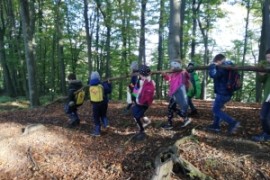 Waldprojekt der 1.b