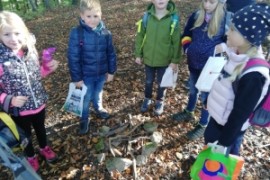 Waldprojekt der 1.b
