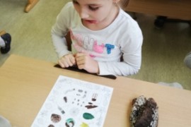 Waldprojekt der 1.b