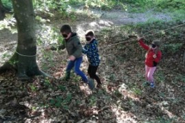 Waldspiele der 2.b