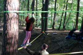 Waldspiele der 2.b