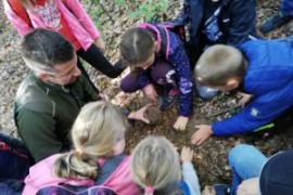 Waldspiele der 2.b