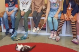Welttierschutztag in der 1c