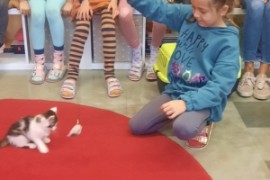 Welttierschutztag in der 1c