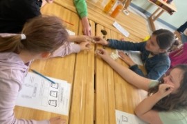 Workshop mit Stefanie Niederl (4b)
