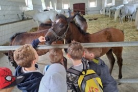 Der erste große Ausflug der 1.a Klasse