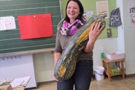 Projekttag zum Thema 