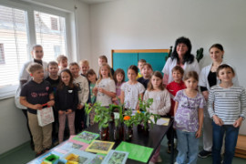 Apothekenbesuch