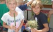 Volksschule Gnas