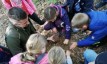 Volksschule Gnas