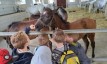 Volksschule Gnas