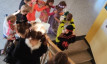 Volksschule Gnas